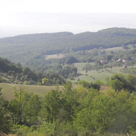 Готель Iedera Casa De Familii 1 Pianu de Sus Екстер'єр фото