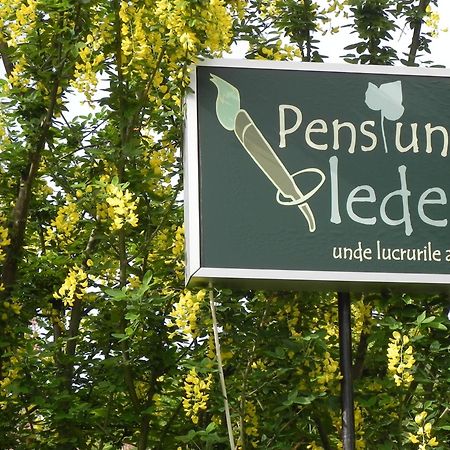 Готель Iedera Casa De Familii 1 Pianu de Sus Екстер'єр фото