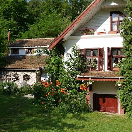 Готель Iedera Casa De Familii 1 Pianu de Sus Екстер'єр фото
