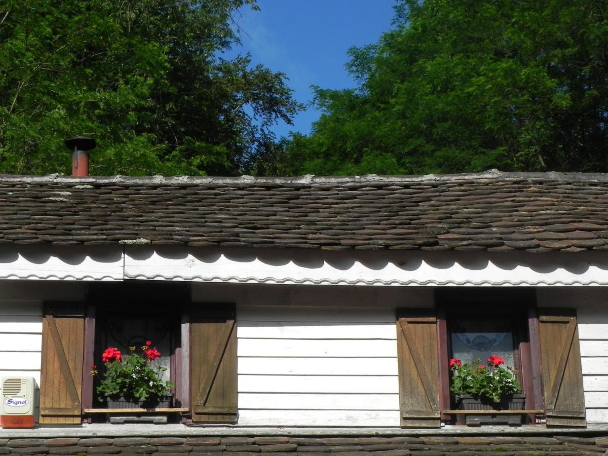 Готель Iedera Casa De Familii 1 Pianu de Sus Екстер'єр фото