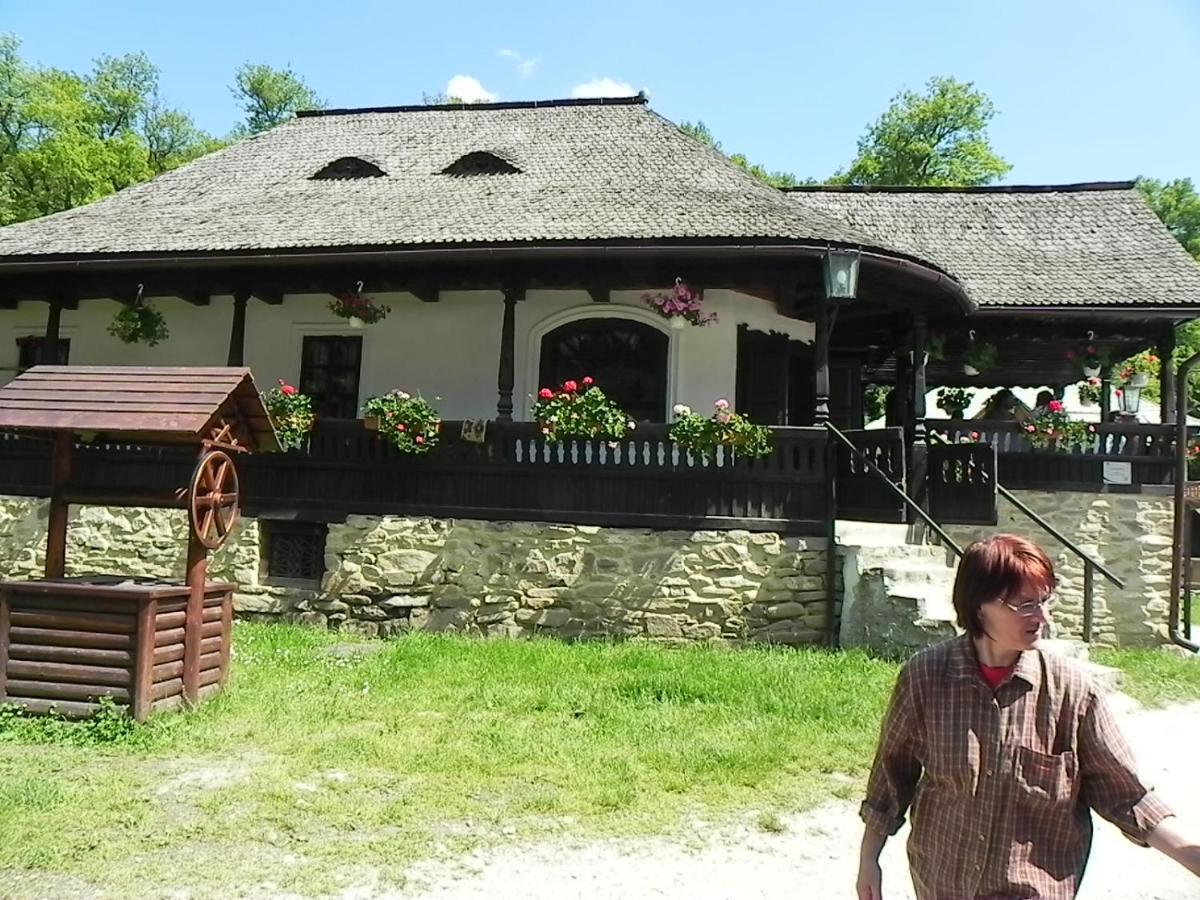 Готель Iedera Casa De Familii 1 Pianu de Sus Екстер'єр фото