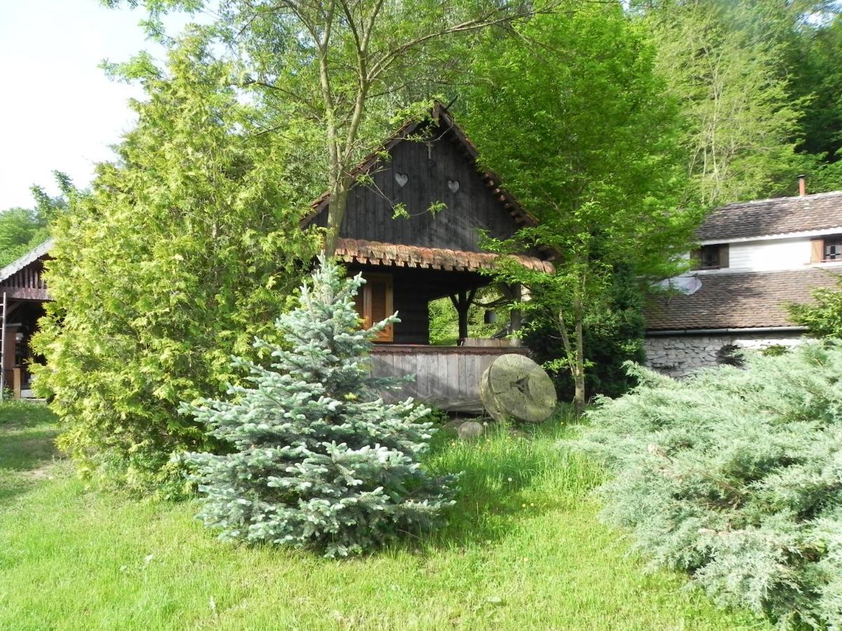 Готель Iedera Casa De Familii 1 Pianu de Sus Екстер'єр фото