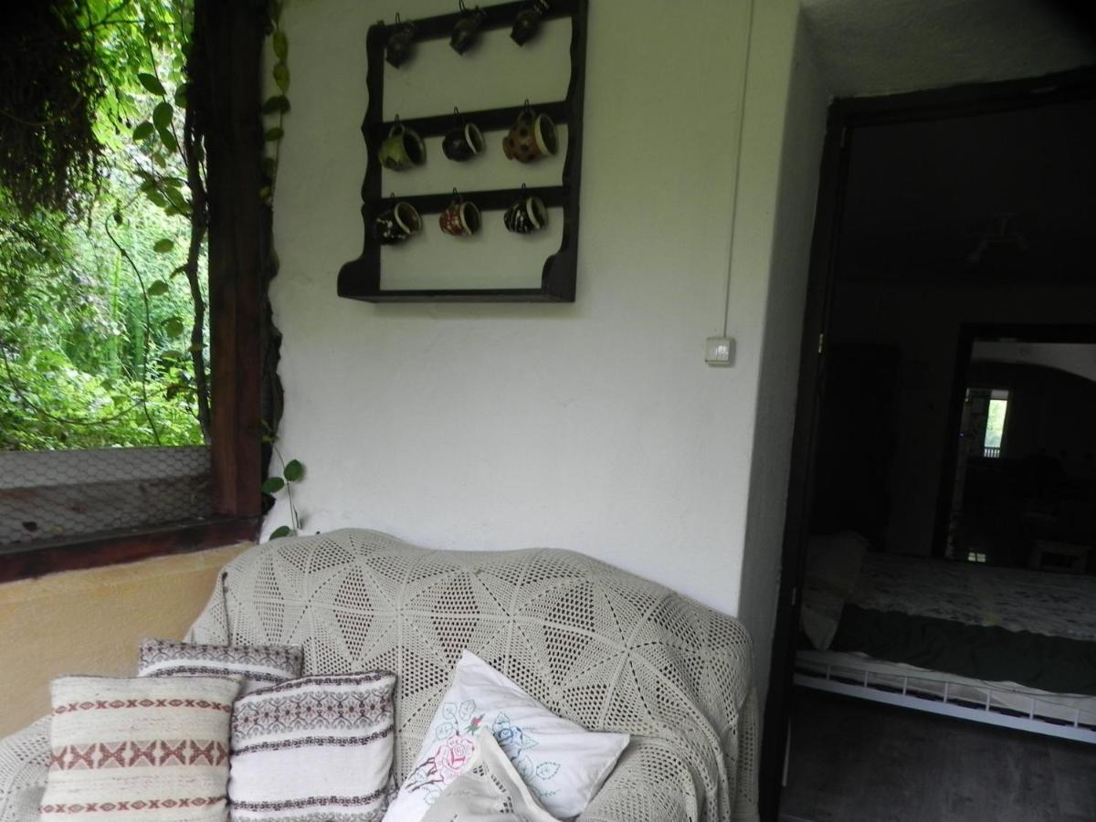 Готель Iedera Casa De Familii 1 Pianu de Sus Екстер'єр фото