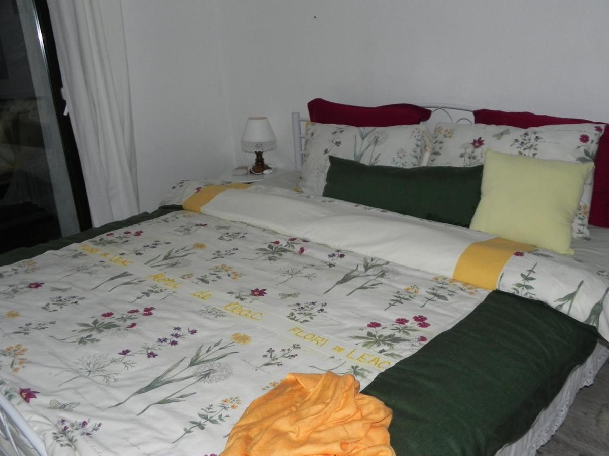 Готель Iedera Casa De Familii 1 Pianu de Sus Екстер'єр фото