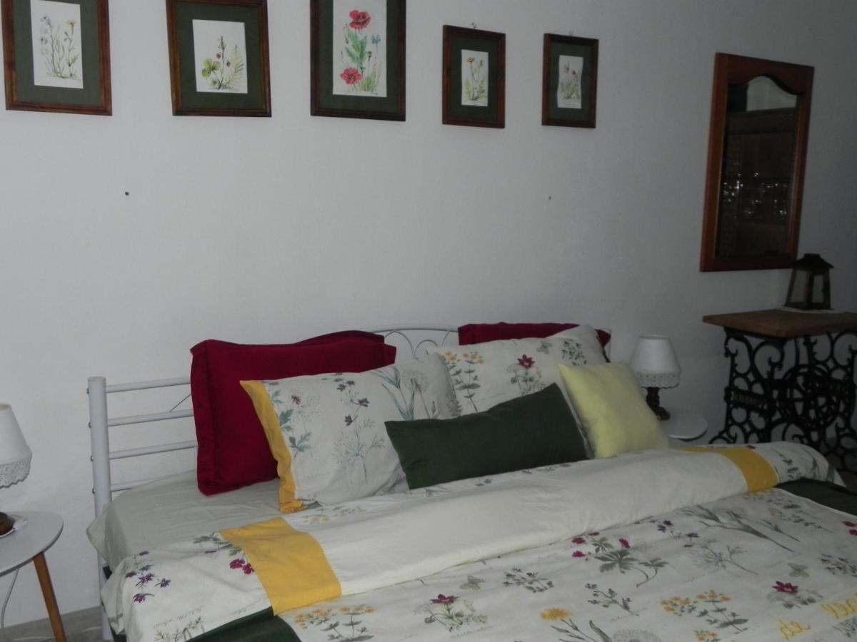 Готель Iedera Casa De Familii 1 Pianu de Sus Екстер'єр фото