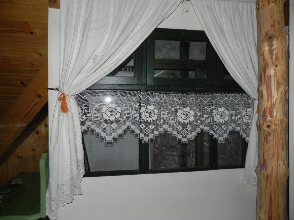 Готель Iedera Casa De Familii 1 Pianu de Sus Екстер'єр фото