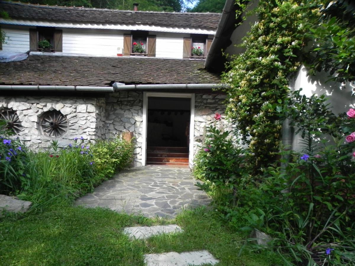 Готель Iedera Casa De Familii 1 Pianu de Sus Екстер'єр фото