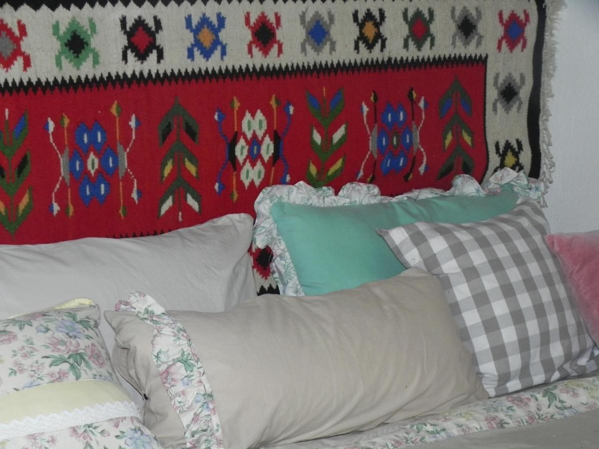 Готель Iedera Casa De Familii 1 Pianu de Sus Екстер'єр фото
