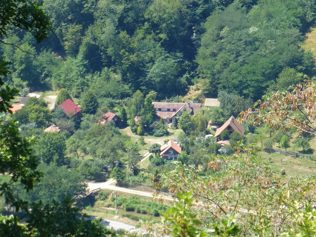 Готель Iedera Casa De Familii 1 Pianu de Sus Екстер'єр фото