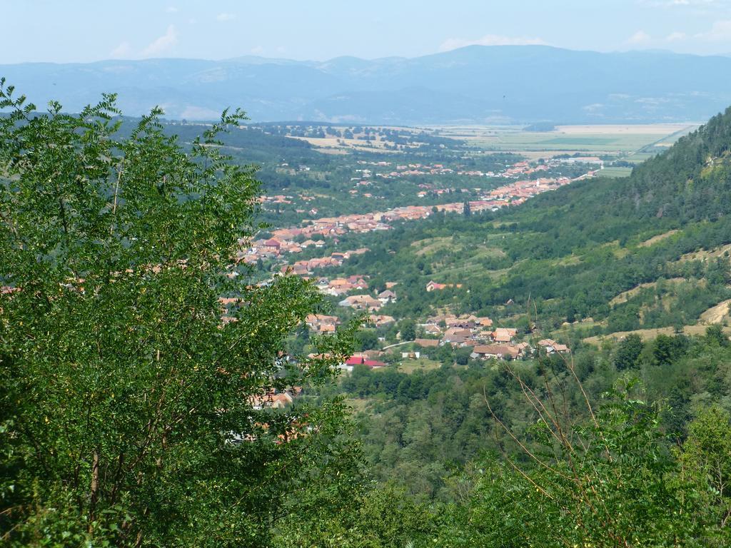 Готель Iedera Casa De Familii 1 Pianu de Sus Екстер'єр фото